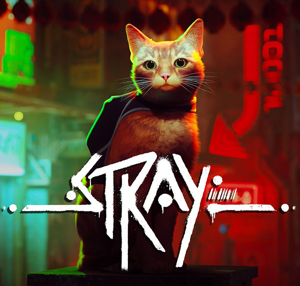 game stray